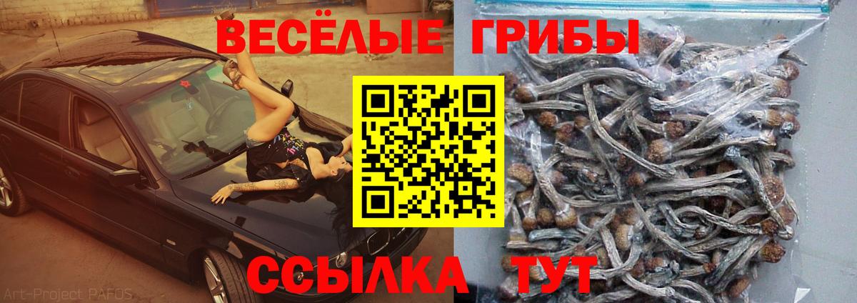 Галлюциногенные грибы ЛСД Строитель